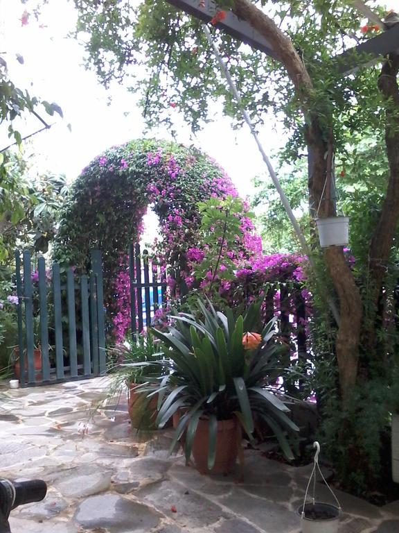 Ritsa Hotel Kamena Vourla